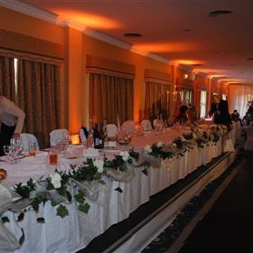 fwthumbTop table of tulle and ivy.jpg